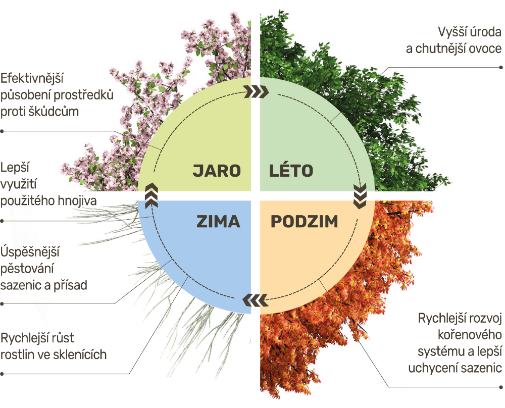 Rok ovoce stromy_cz--cs-CZ